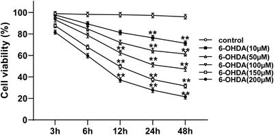 Astragaloside IV Protects 6-Hydroxydopamine-Induced SH-SY5Y Cell Model of Parkinson’s Disease via Activating the JAK2/STAT3 Pathway